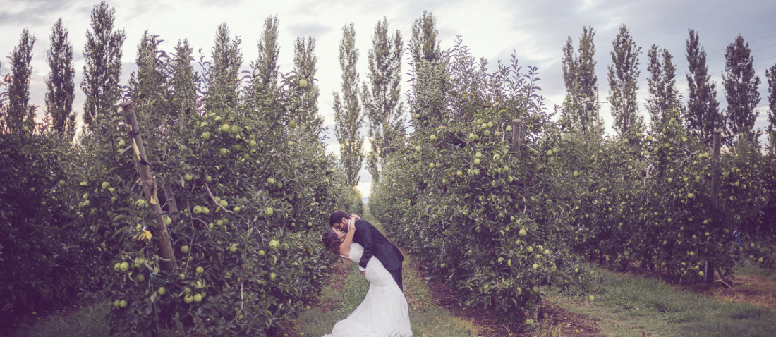 fotógrafo de boda :: fotógrafo de bodas :: boda en cortal gran :: boda en girona :: boda en el campo :: boda en una masia