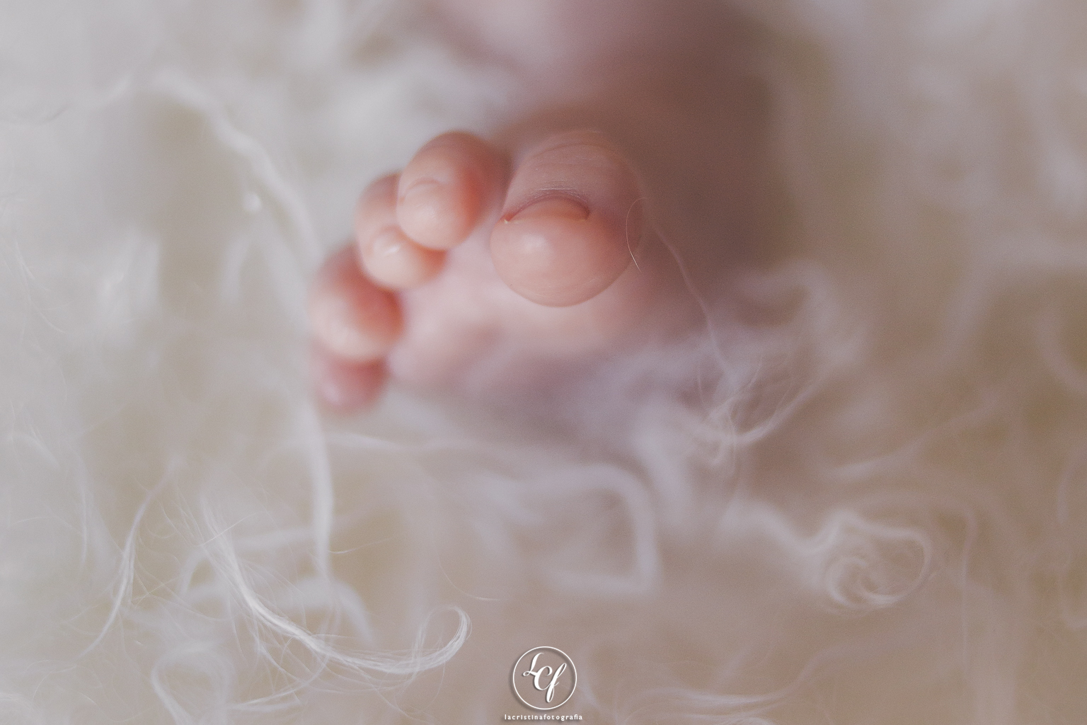 fotógrafo de bebé barcelona :: fotografía de bebé natural :: fotografía de recién nacido :: fotografía de famiilia